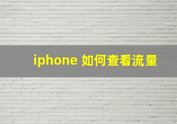 iphone 如何查看流量